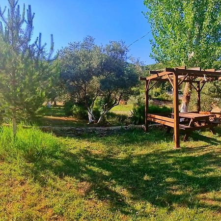 Vita Camping Otel Geyikbayiri Ngoại thất bức ảnh