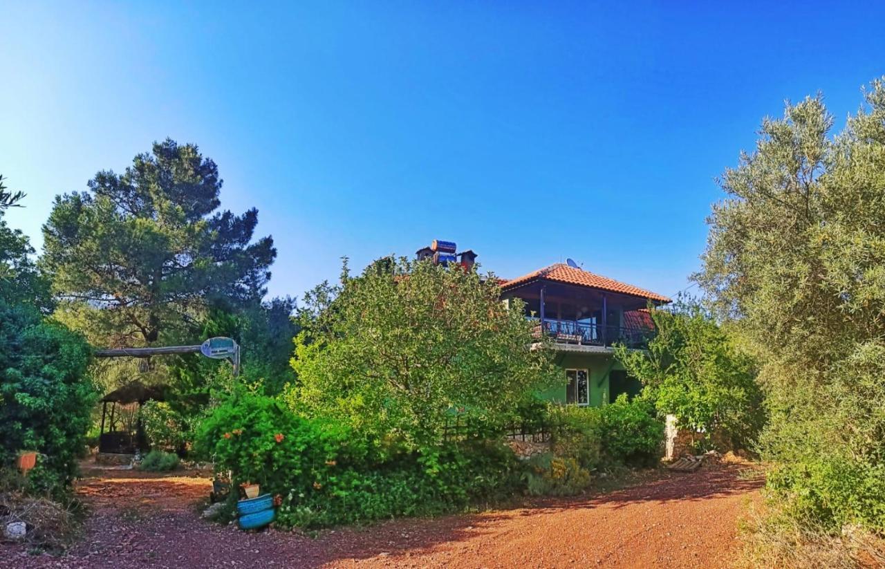 Vita Camping Otel Geyikbayiri Ngoại thất bức ảnh